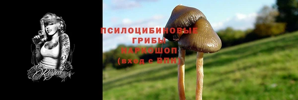 PSILOCYBIN Абинск