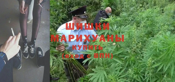 PSILOCYBIN Абинск