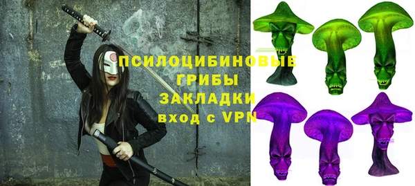 PSILOCYBIN Абинск